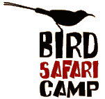 Bird Safari Camp - The Gambia